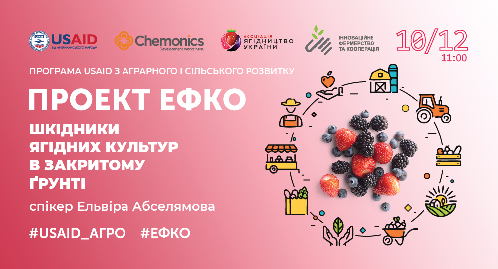 Тренінг проекту #ЕФКО «Шкідники ягідних культур в закритому ґрунті»