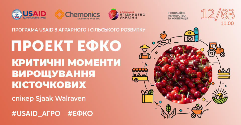  Критичні моменти вирощування кісточкових