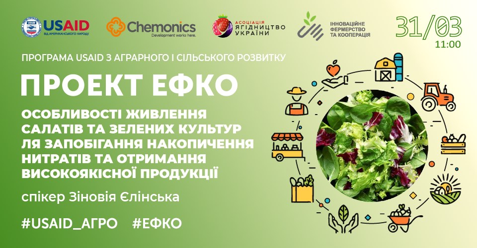  Особливості живлення салатів та зелених культур для запобігання накопичення нитратів та отримання високоякісної продукції 