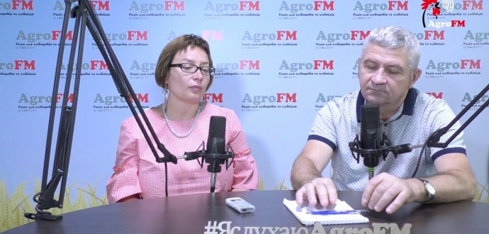 About the problems of cooperation in berry growing! Iryna KUKHTINA, President of UBA