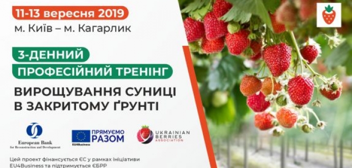 Вирощування суниці в закритому ґрунті