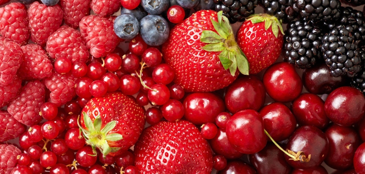 Іспанія помітно знизила експорт ягід через кризу COVID-19