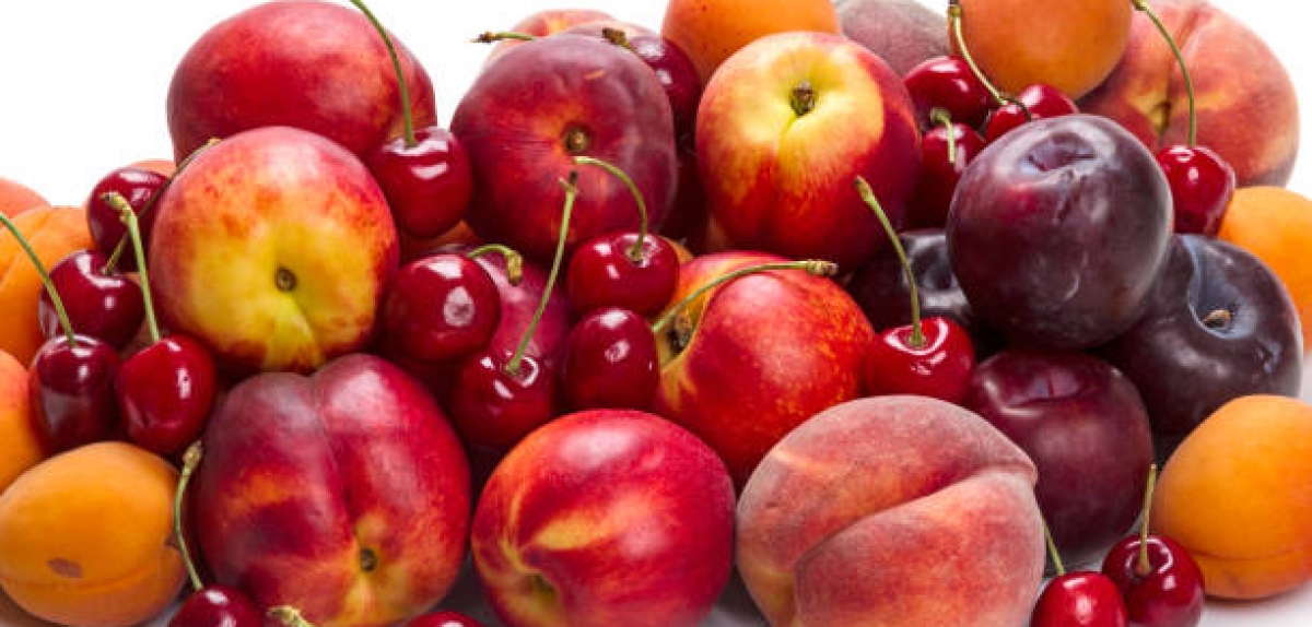 Chinese cherry acreage set to grow considerably