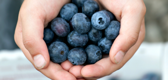 Logistical challenges face berry exporters from Southern Africa as production grows across region