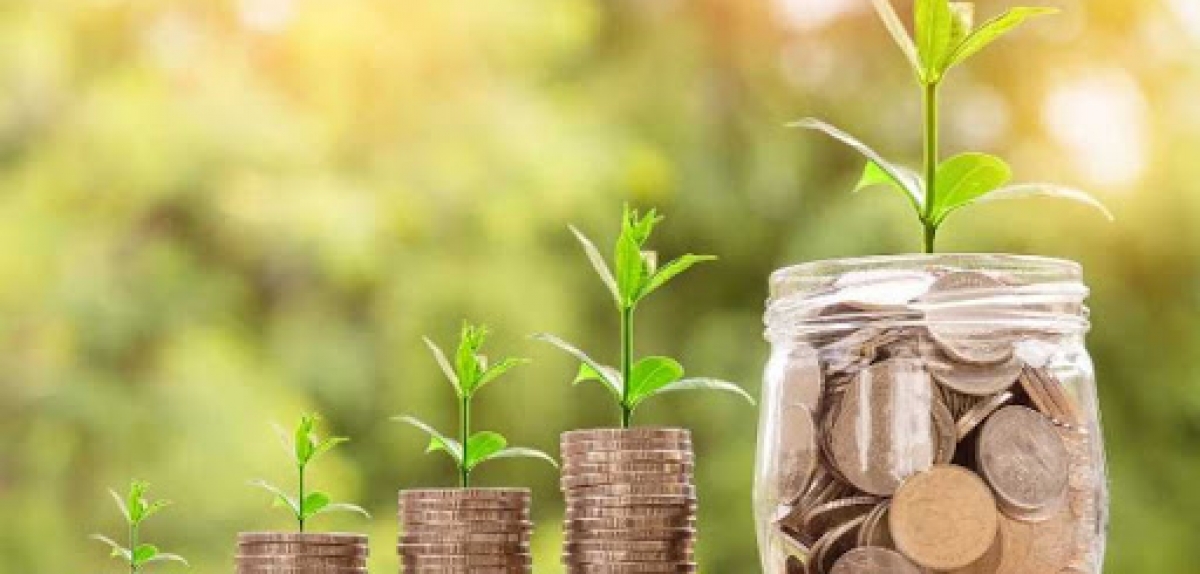 Ігор Петрашко розповів про нові ініціативи для розвитку аграрного сектору