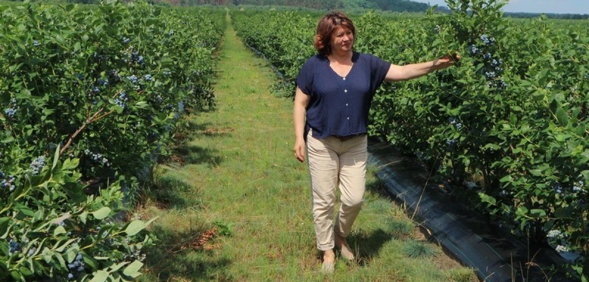 Шлях до успіху кращого сімейного бізнесу Олени та Олега Воробйових за версією UBA Awards 2020