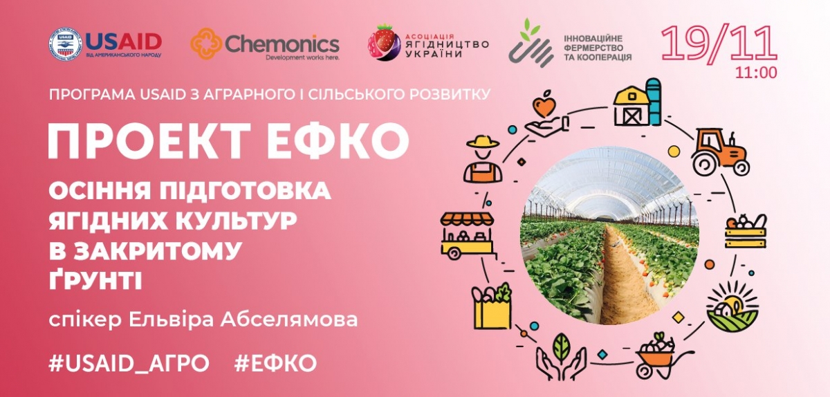 Проект #ЕФКО: відбувся тренінг "Осіння підготовка ягідних культур в закритому ґрунті"