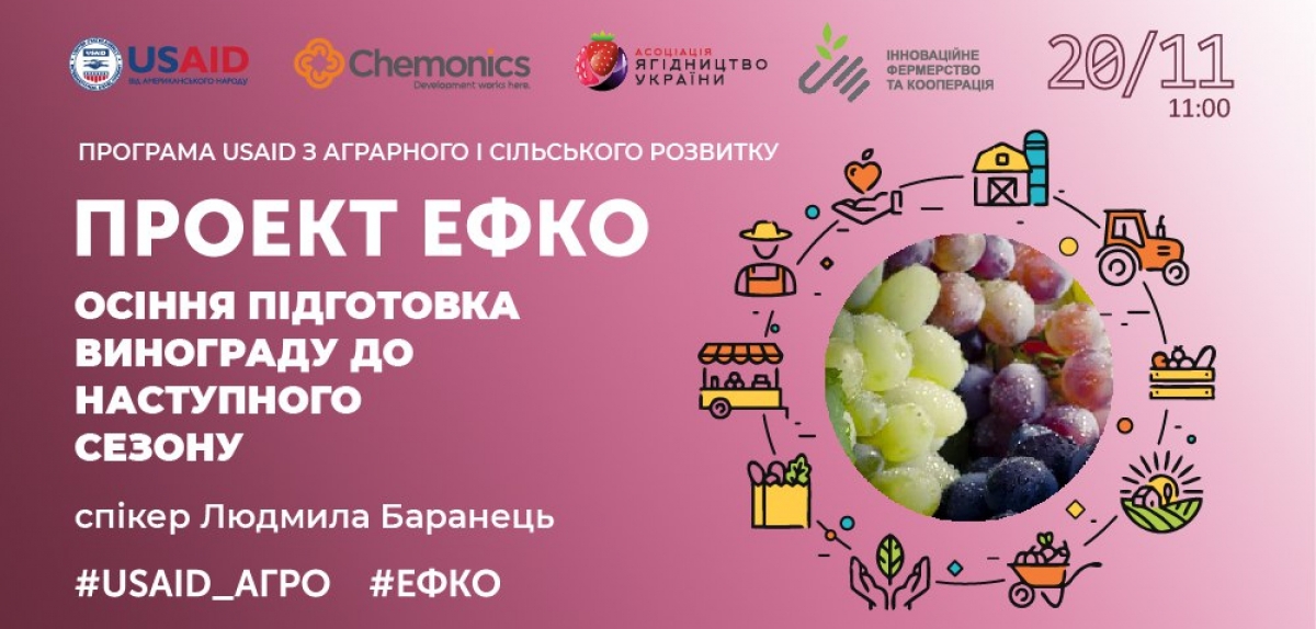 Проект #ЕФКО: відбувся тренінг «Осіння підготовка вінограду до наступного сезону»