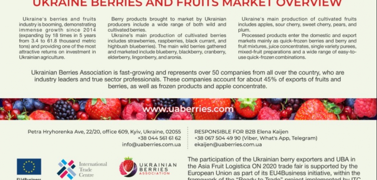 Українські експортери ягід підкорюють нові світові вершини