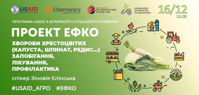 Проект #ЕФКО: підсумки тренінгу «Хвороби хрестоцвітих»