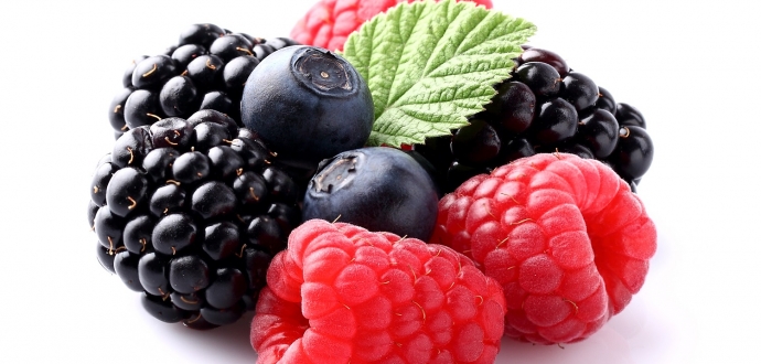 European project investigates new breeding strategies to achieve more resistant and nutritious berries