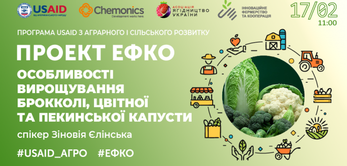 Проєкт #ЕФКО: відбувся тренінг «Особливості вирощування броколі, цвітної та пекінської капусти»
