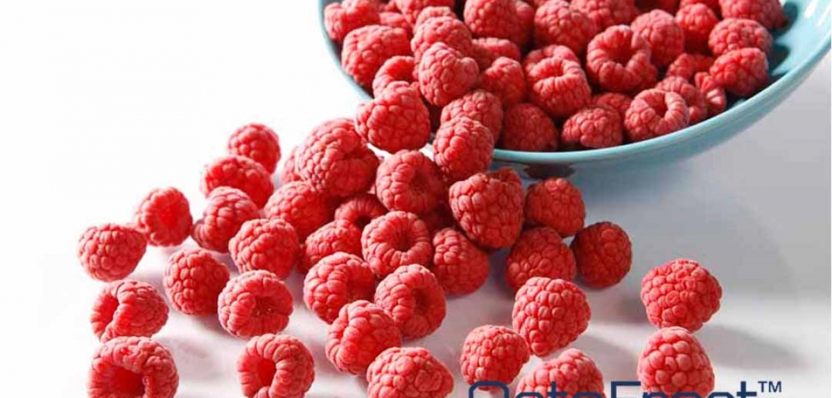 Сould iqf food be a viable solution for a sustainable future?