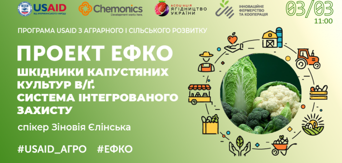 Відбувся тренінг проєкту #ЕФКО  «Шкідники капустяних культур в/ґ. Система інтегрованого захисту»