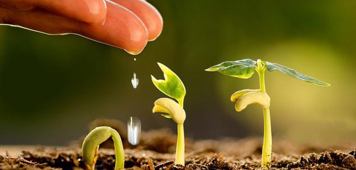  Агрострахування в Україні: податковий комітет підтвердив законопроект про його запровадження