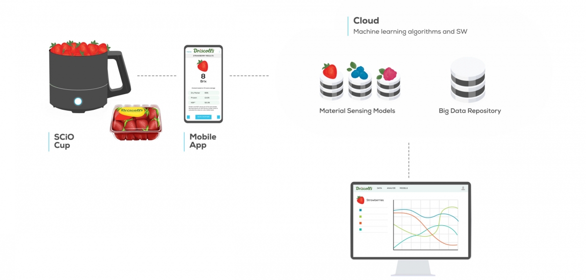 Driscoll’s is Using Consumer Physics Technology to Bring Sweeter Berries to Market
