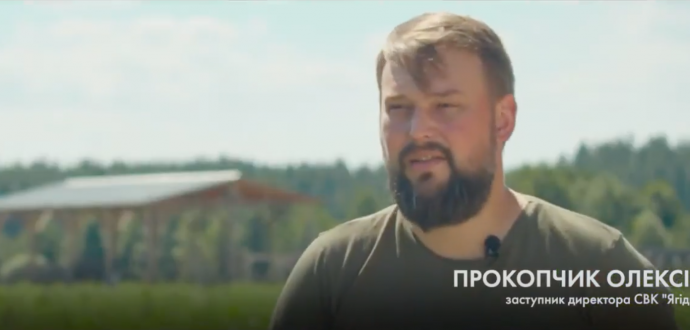 ІСТОРІЯ УСПІХУ члена «Асоціації  Ягідництво України»  - СВК    «Ягідки»