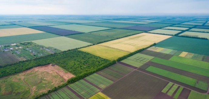 Названо умови для функціонування Державного аграрного реєстру