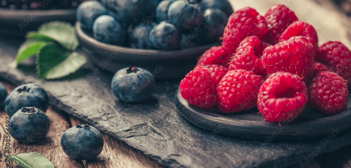 Розвиток ягідництва в Україні: сектор стрімко зростає