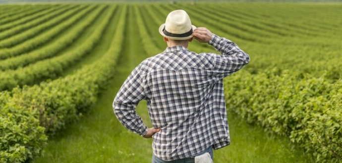 Фермери матимуть змогу отримати державні гарантії  для придбання землі – Мінфін 