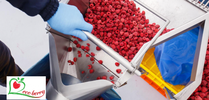 ФГ «Еко Беррі» - Офіційний партнер бізнес – туру в рамках конгресу «Ягідництво та кооперація  - 2021»