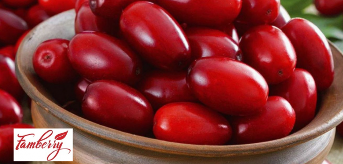 До Асоціації «Ягідництво України» приєдналась ТМ Famвerry