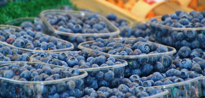 Ірина Кухтіна: «Лохина ніколи не коштуватиме 25 грн за кг»