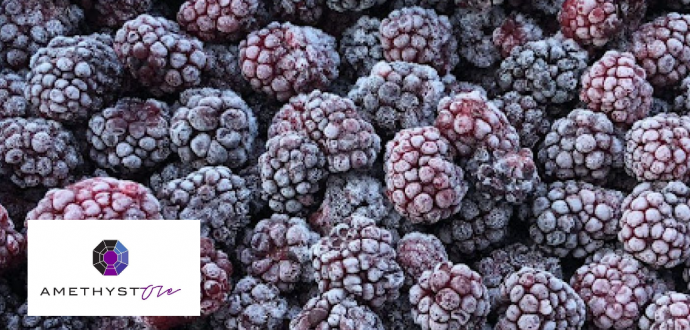 Вітаємо члена Асоціації «Ягідництво України» - компанію «Аметист-Оле»