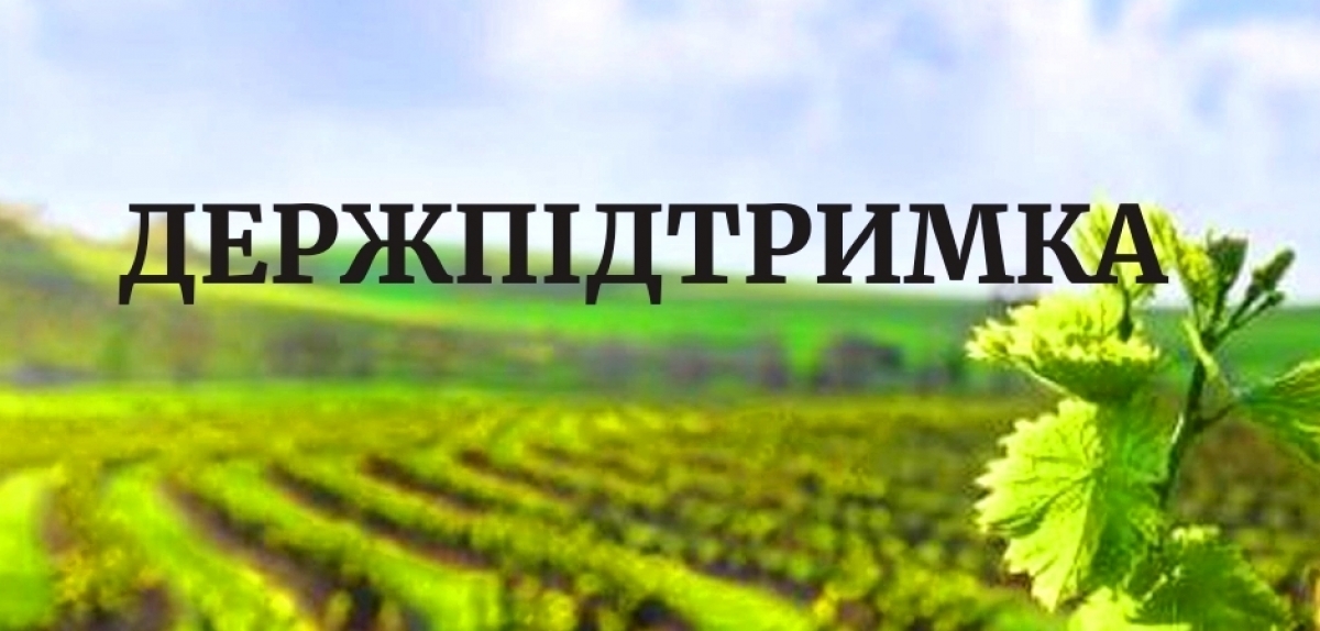 Мінагро затвердило нормативи, форми звітності, переліки техніки, механізмів та обладнання, передбачених для надання державної підтримки виробників плодів, ягід, винограду та хмелю