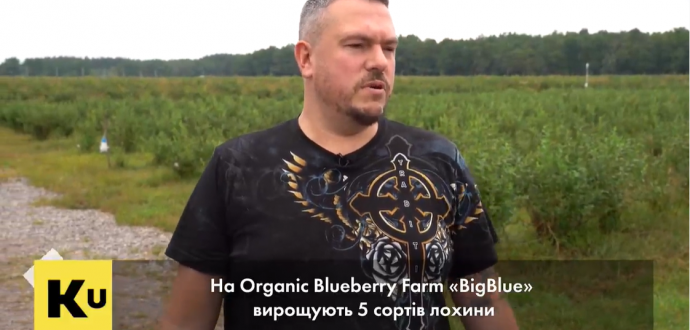 Олег Науменко про філософію економіки органічного ягідництва