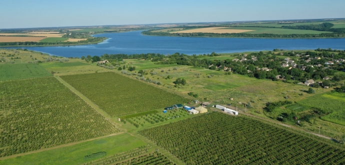 У BerryMore Active планують розширення площ та збільшення переліку сортів ожини