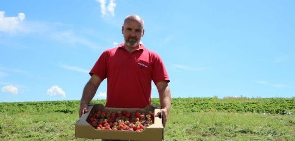 ФГ «Агровест 2012» приєдналось до Асоціації «Ягідництво України»