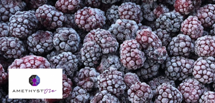 ЄБРР надав кредит на модернізацію виробництва українському експортеру заморожених ягід