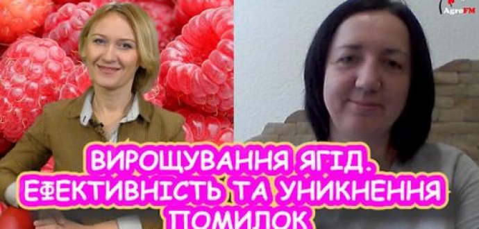    Як уникнути помилок під час вирощування ягід? У студії Agro Fm розповідає Ірина Кобринець