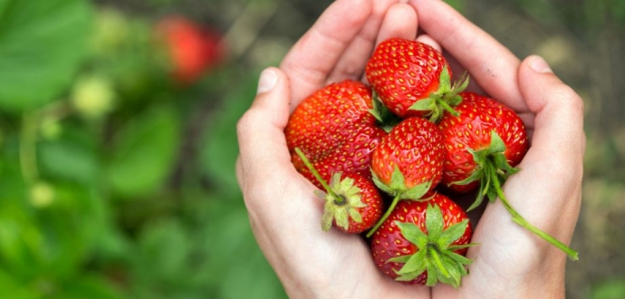 Зеленський підписав закон щодо стимулювання діяльності фермерських господарств