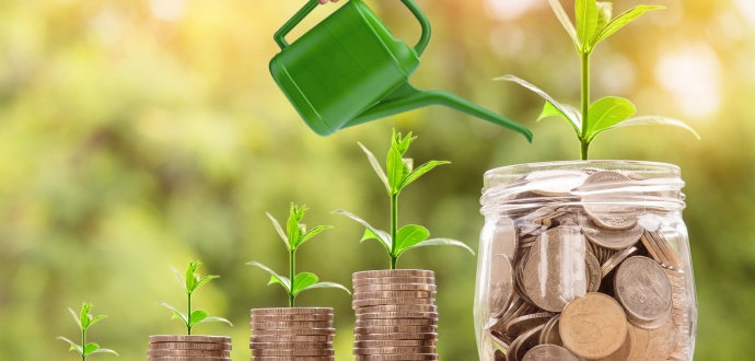 Держпідтримка - 2021: нараховано бюджетну дотацію на розвиток садівництва, виноградарства та хмелярства