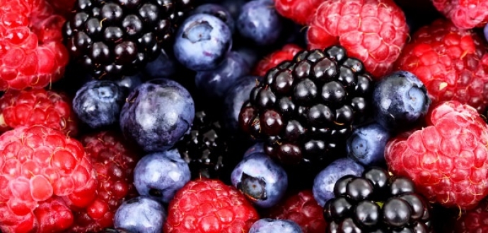 АЯУ: чого чекати українським ягідникам в сезоні-2022