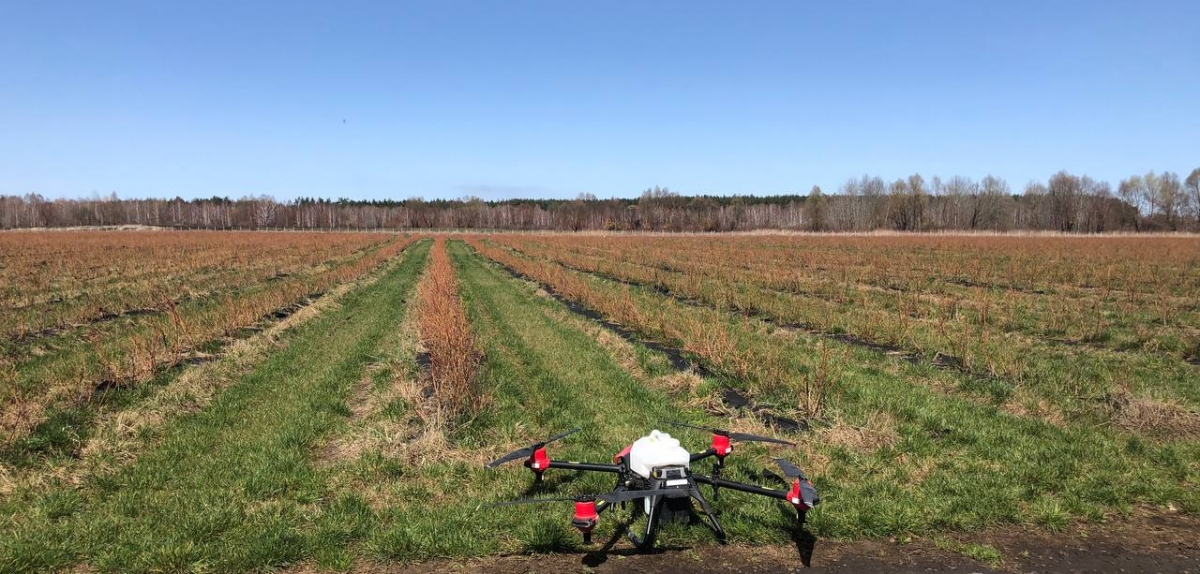 В умовах війни проведено перше внесення ЗЗР агродронами на 130 га ягідних насаджень