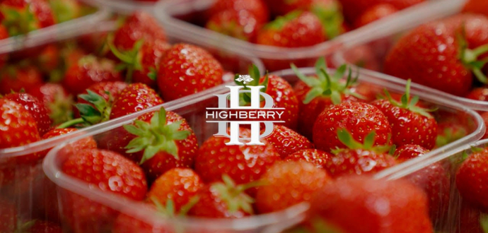 Найбільший ягідник на Волині готовий до нового полуничного сезону