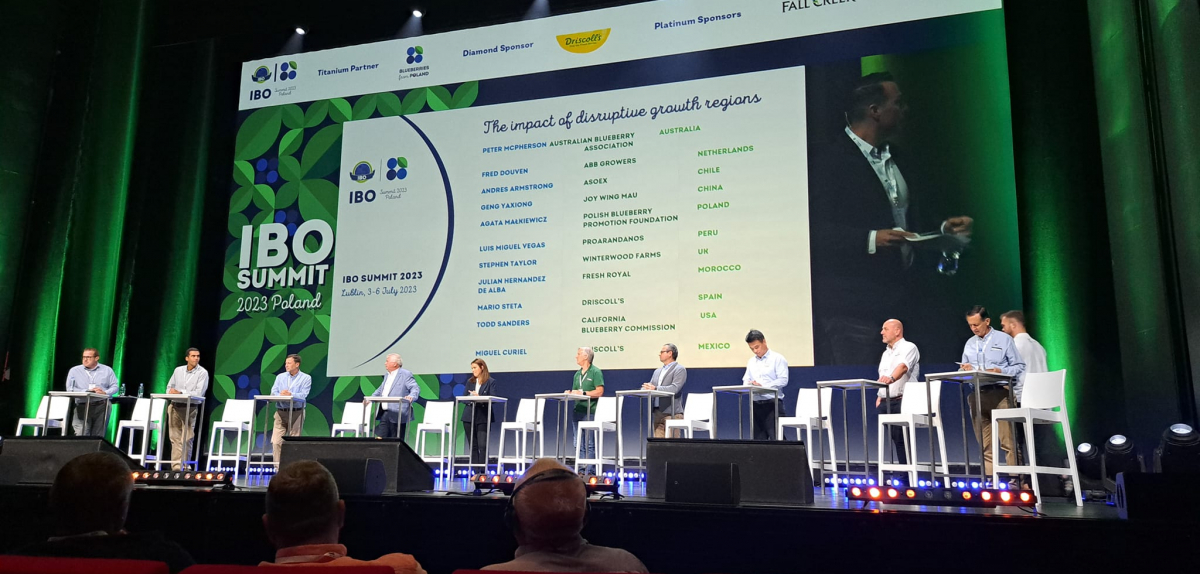 International Blueberry Organisation Summit 2023 року