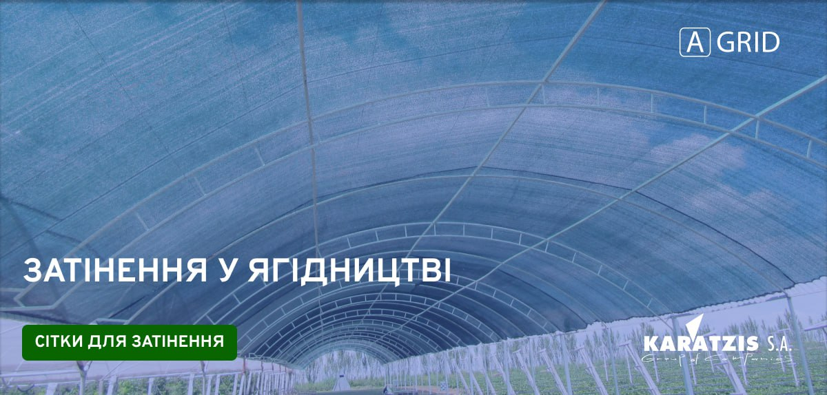 Затінення у ягідництві