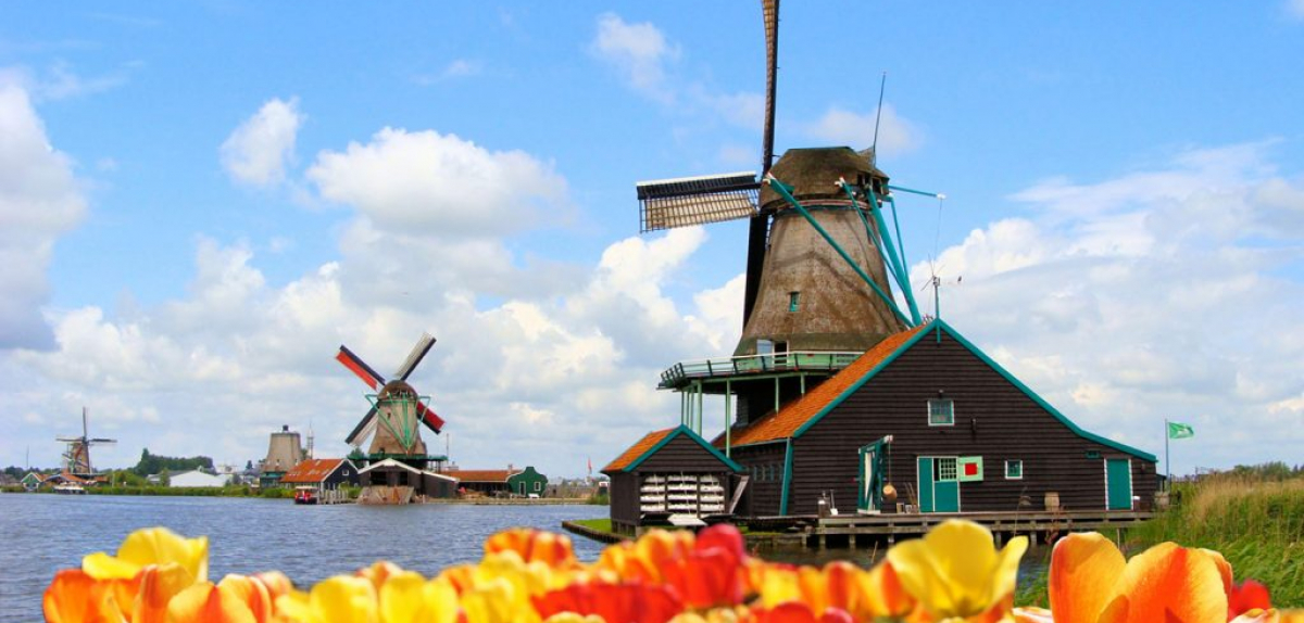 Набір компаній органічного сектору для участі у бізнес-турі до Нідерландів