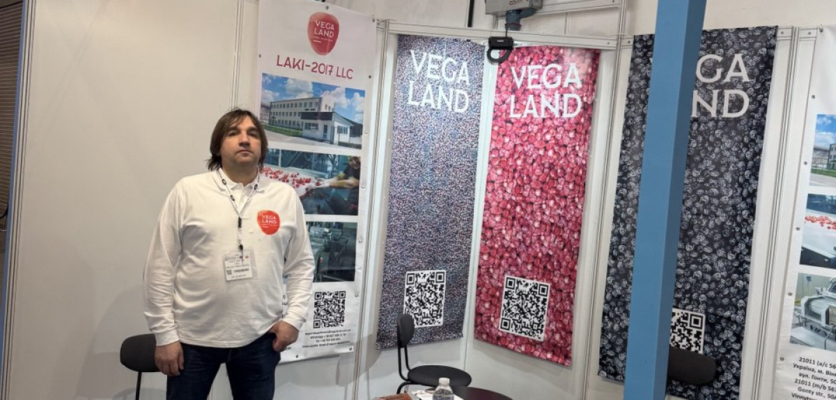 Наша перевага перед польською ягодою – якість і ціна