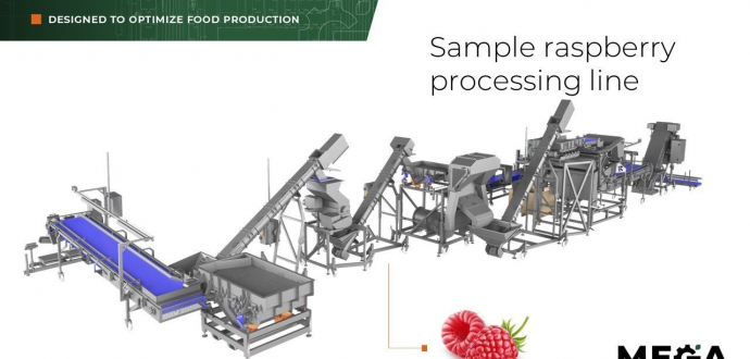 Інноваційна лінія сортування та пакування малини - точність, ефективність, якість