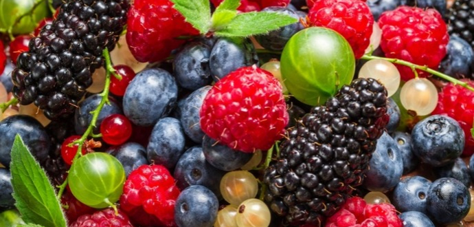 Asia Window: Підтримка експорту українських МСП на азійські ринки!