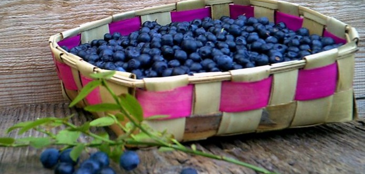 Правила органічного виробництва: поширені запитання