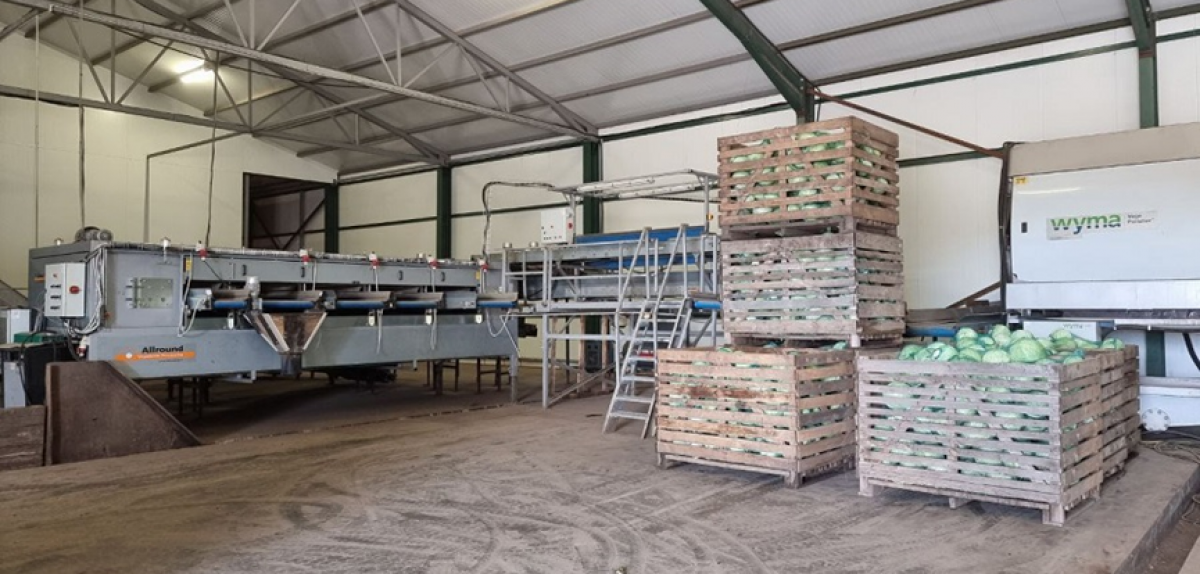 Партнери АЯУ запрошують ягідників у бізнес-тур на Рівненщину та Волинь