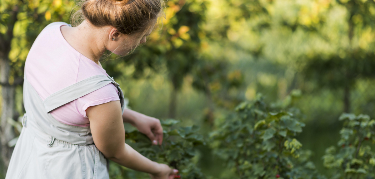 Пивзавод «Рівень» — ексклюзивний партнер Міжнародної конференції «Ягідно-овочевий бізнес: технології та інновації»