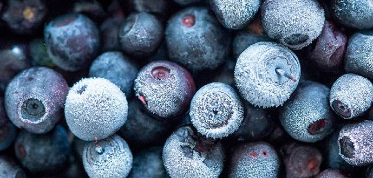 Аналітичний звіт за січень 2025 р.