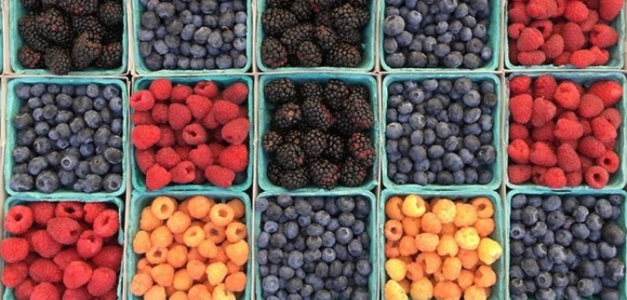 Dynamics of production and foreign trade in berries in Ukraine